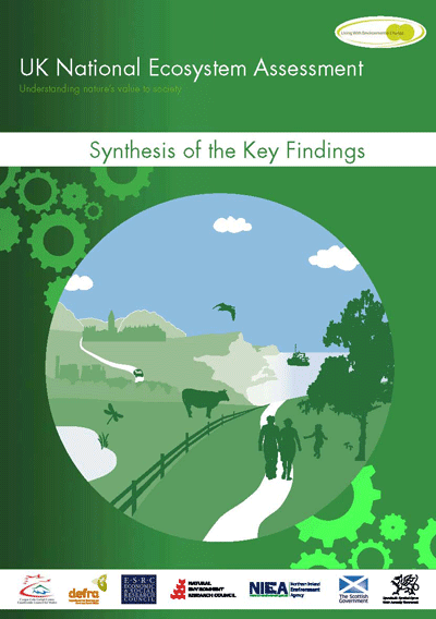 Essay on ecosystem